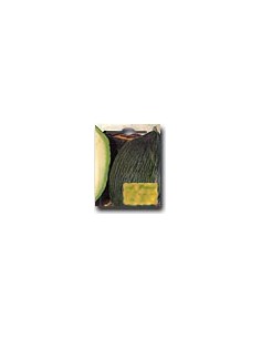 Melone Tendral Verde