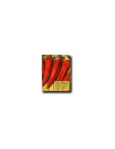 Bullhorn Red Pepper