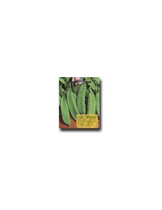Arvejas Come Todo