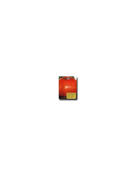 Belmonte Tomato