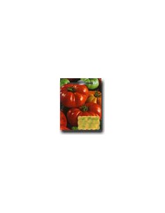 Ribbed Tomato of Florence