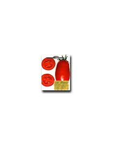 AD 1700 VF Tomato