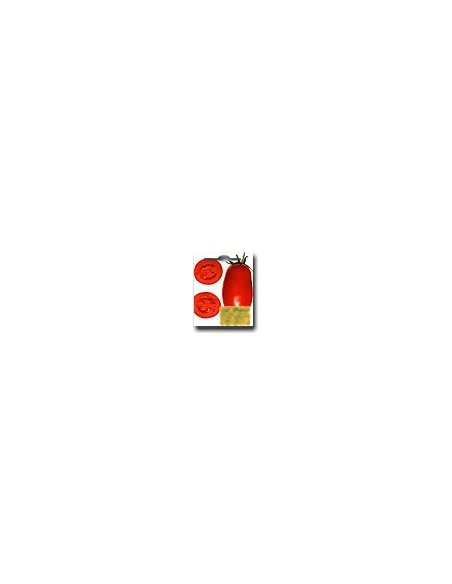 AD 1700 VF Tomato