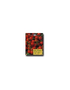 Tomate Borghese