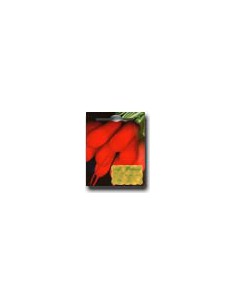 Ravanello Mezzo Lungo Rosso