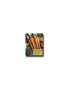 White Salsify