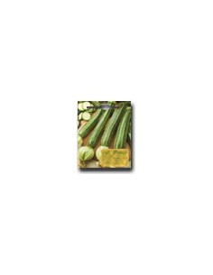 Zucchine Striato d' Italia