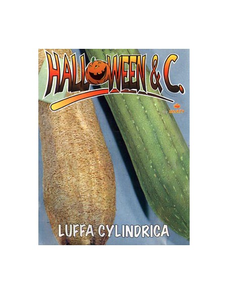 Luffa Cylindrica