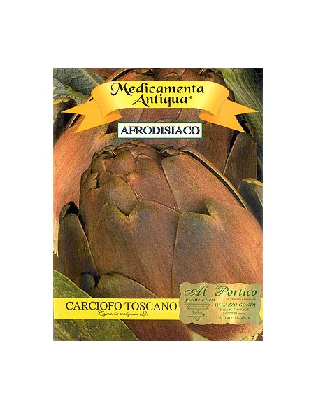 Artichoke of Tuscany