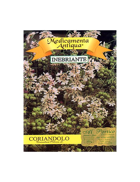 Coriander