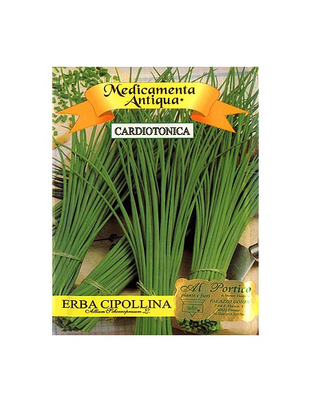 Erba Cipollina
