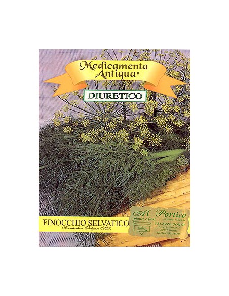 Finocchio Selvatico