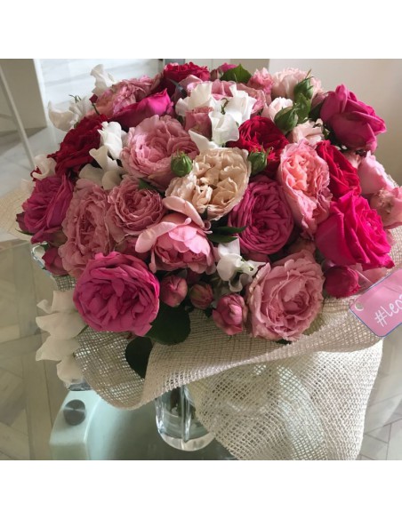 garden roses