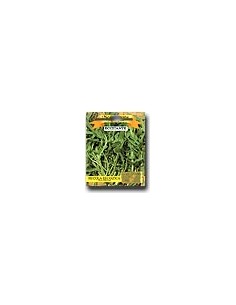 Wild Rucola