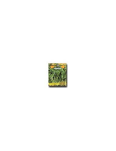 Wild Rucola