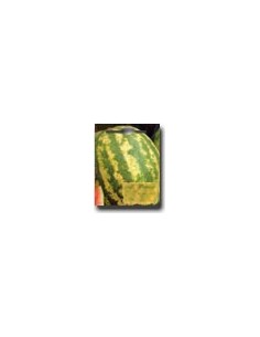 Crimson Sweet Watermelon