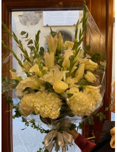 composizione elegantissima