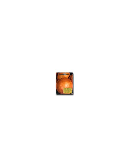 Golden Onion