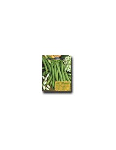 Shelling Dwarf Bean